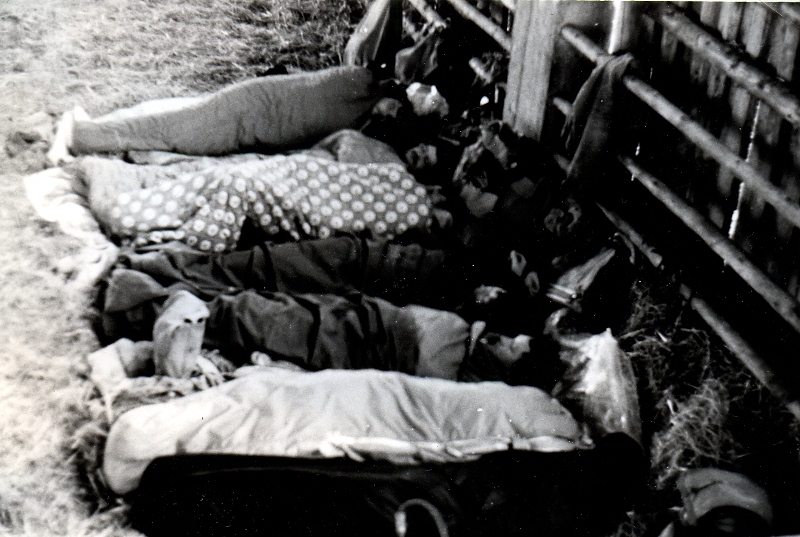 Nocleh v Kardašově Řečici ve statku   10.5.80