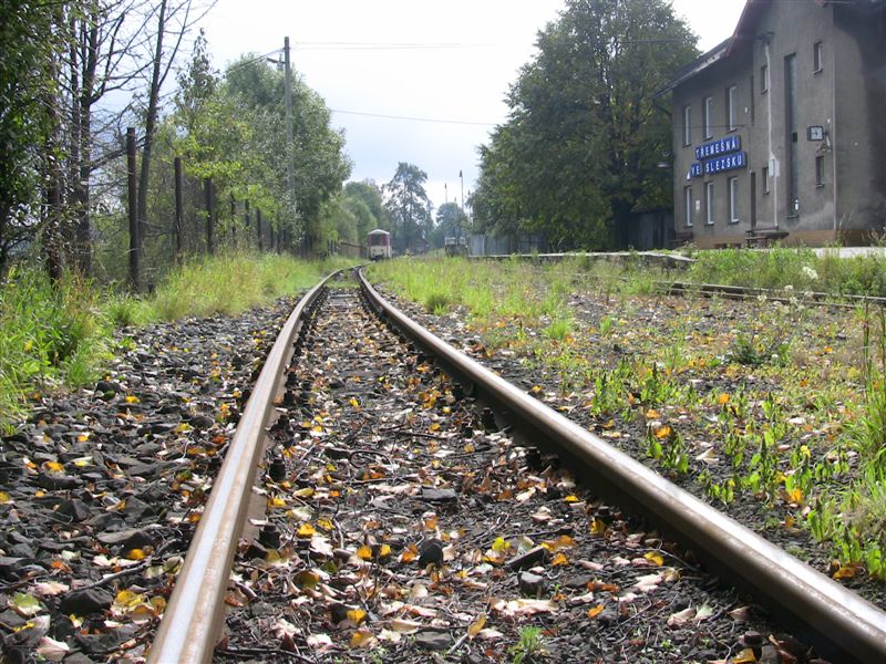 Úzkorozchodná konečná v Třemešné