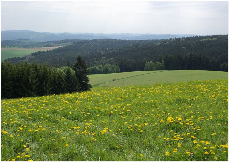 19_Svratecka hornatina s vrchu Kamenice