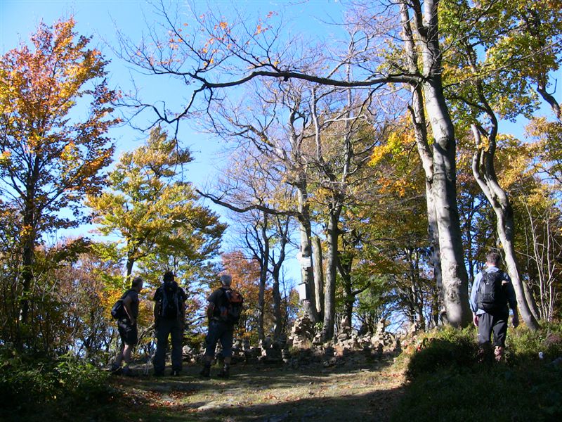 Tanečnice-vrchol -1084 m n.m.