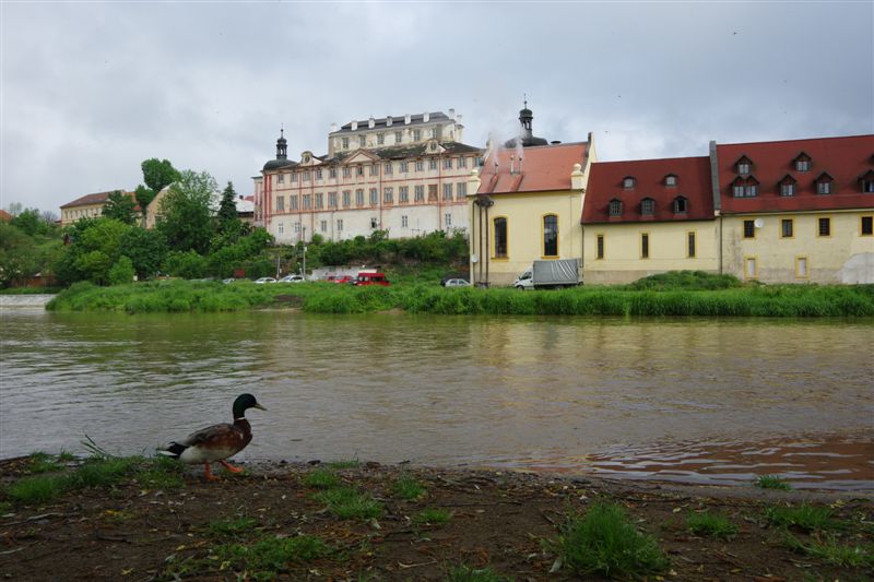 IMGP3514 - Kácov-pohled na zámek a pivovar