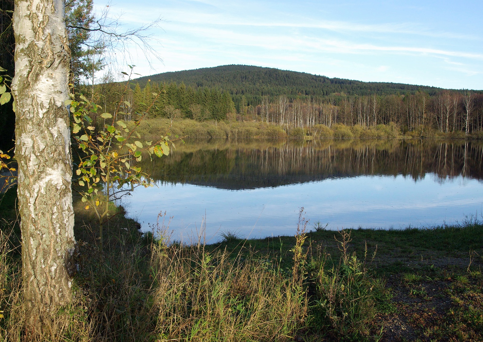 Mlýnsky rybník a Hochwald (Jabkova trasa)