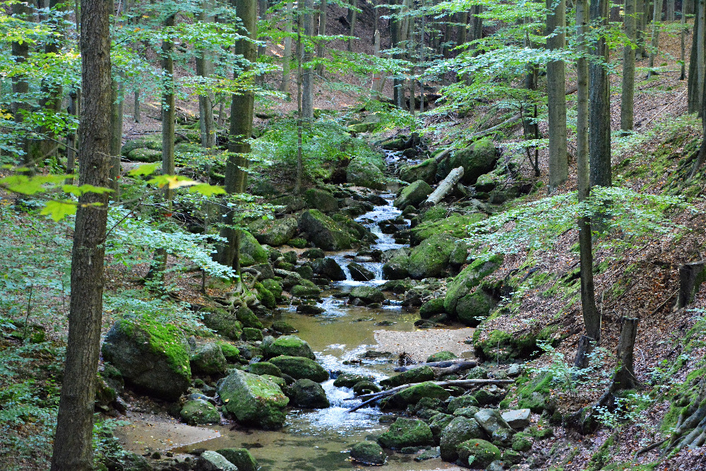 Bílý (Malý) Štolpich