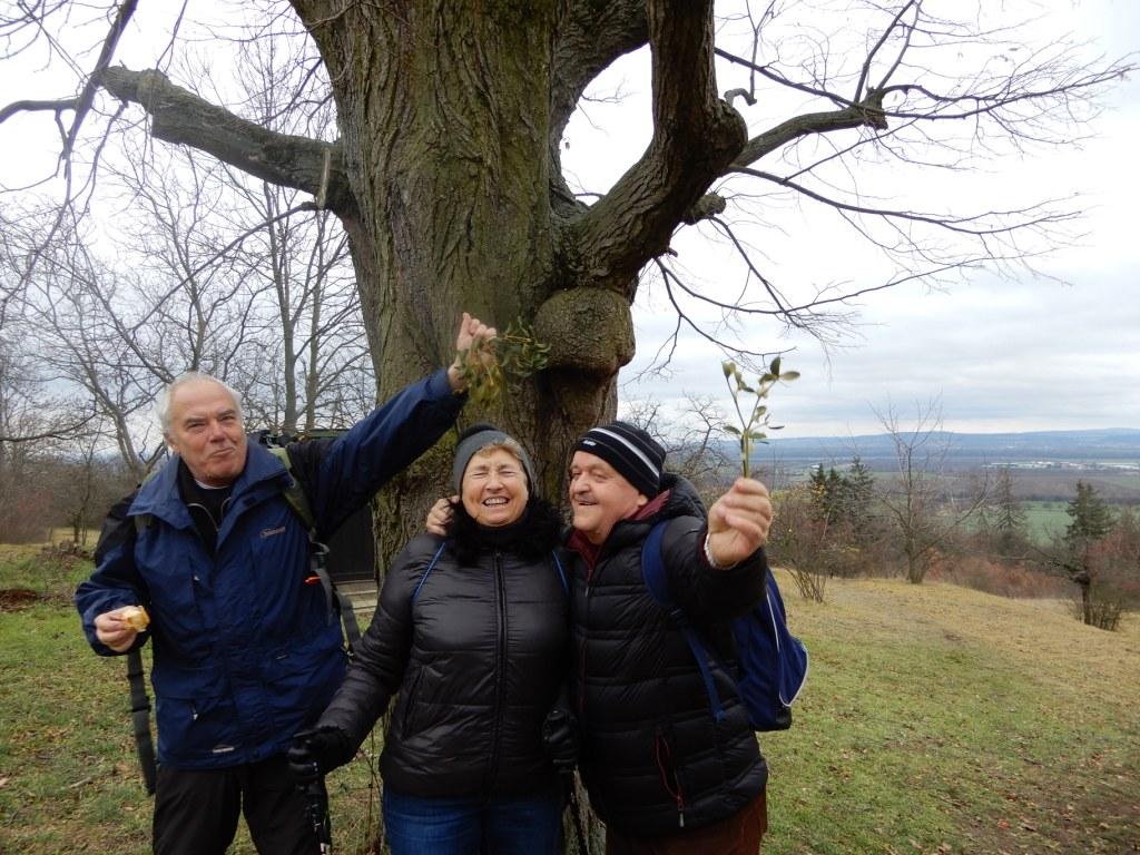 Hodně štěstí v roce 2019