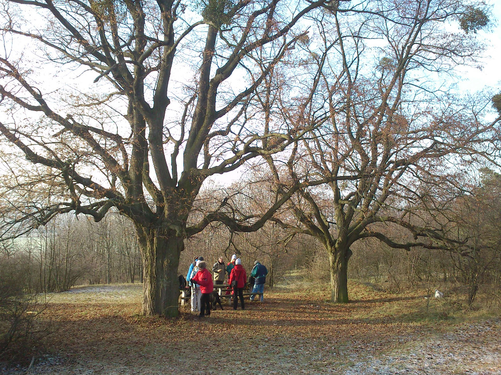 První zastavení - pohled z ještě větší dálky