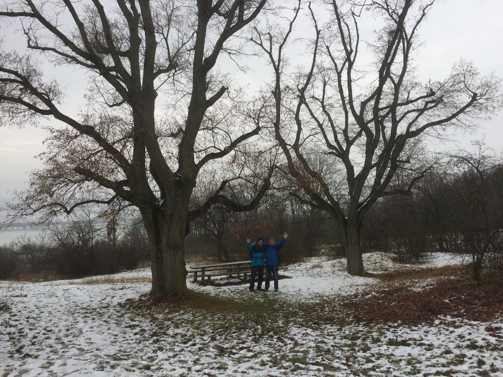 Opuštěni na cestě