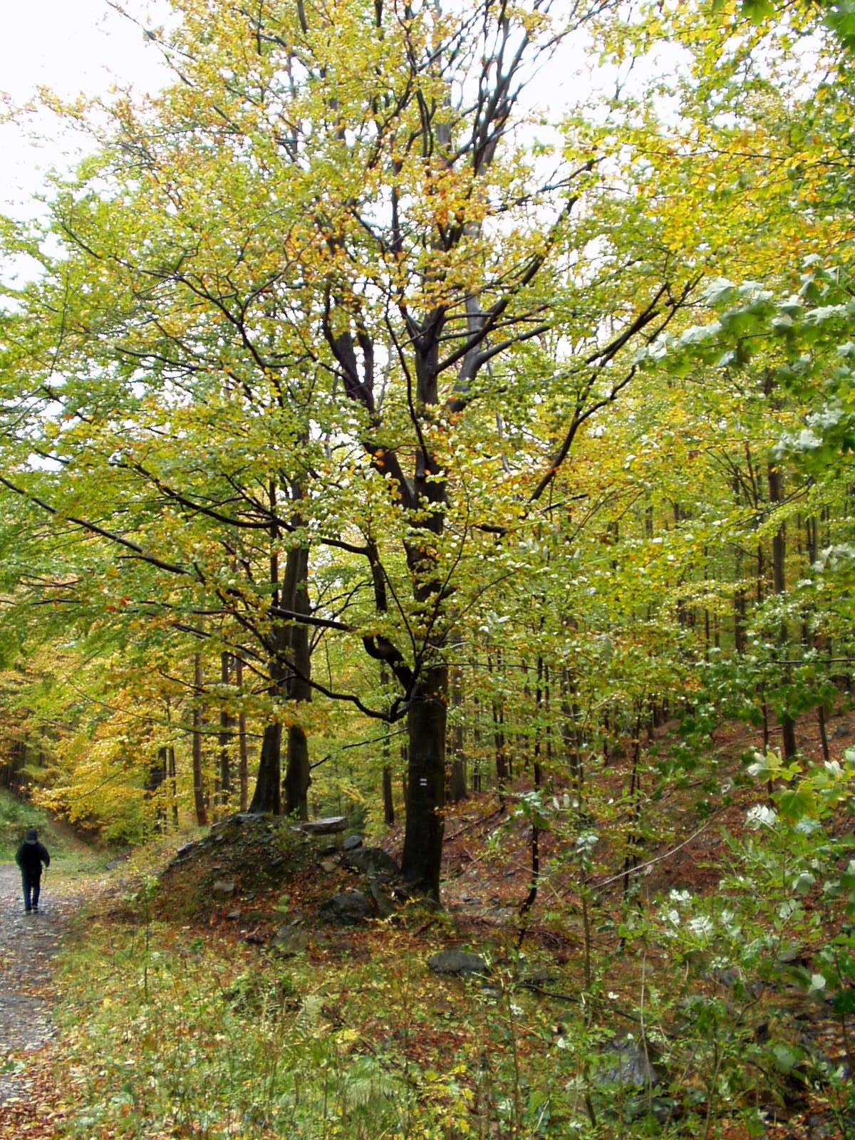 2004-10-15 - Hulho Cundr 012.jpg