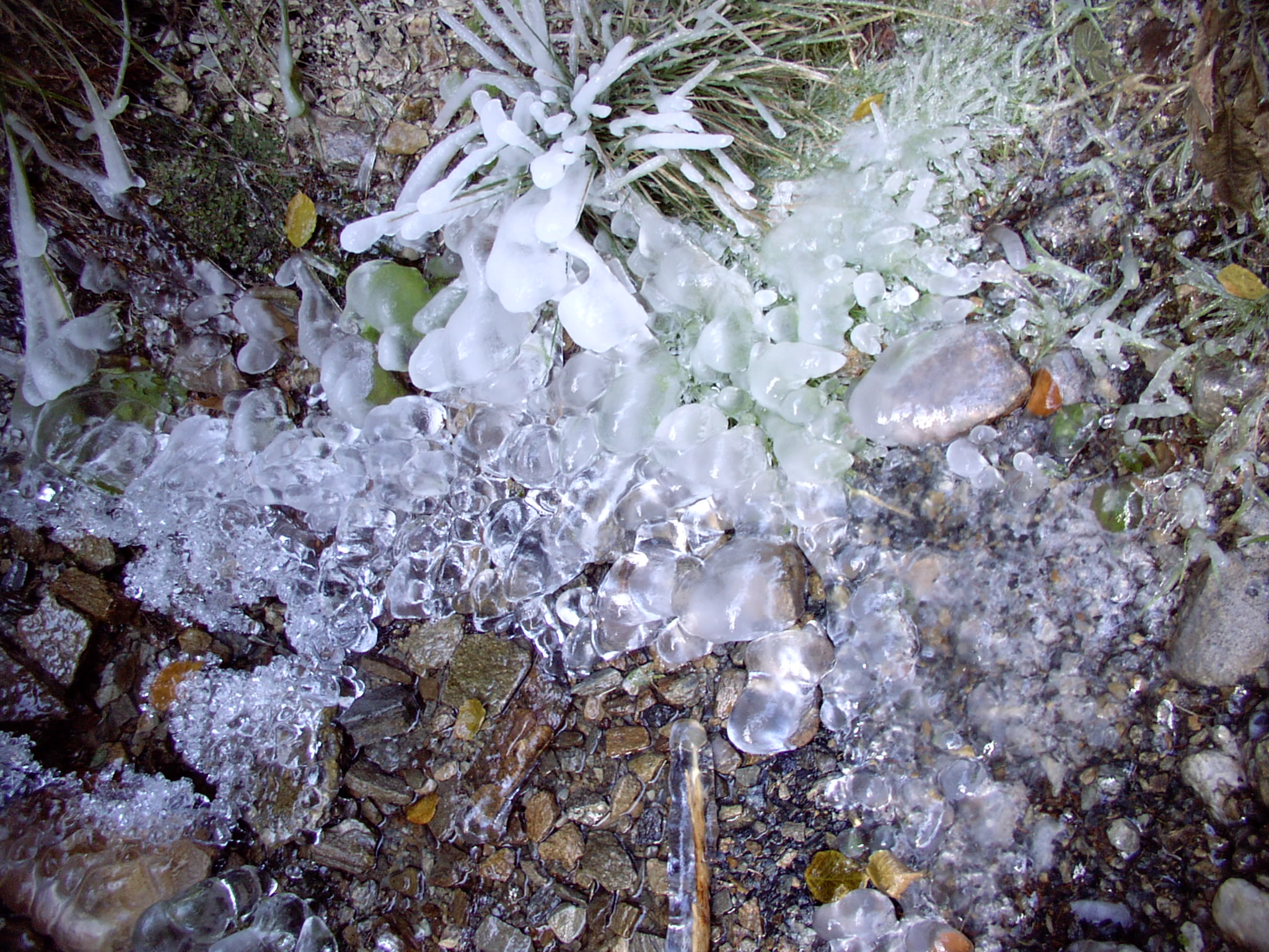 IMG_0137.JPG