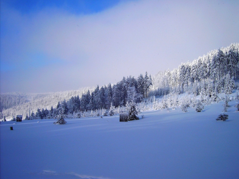 PICT0371.JPG