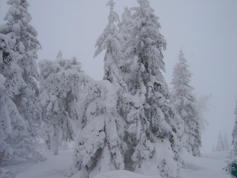 PICT0384.JPG