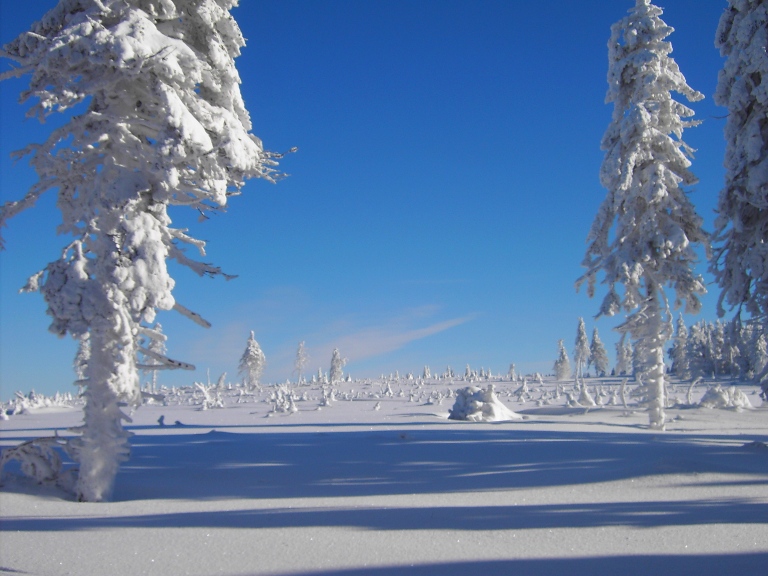 PICT0398.JPG