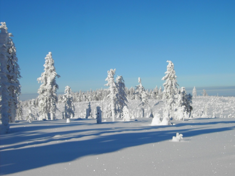 PICT0399.JPG