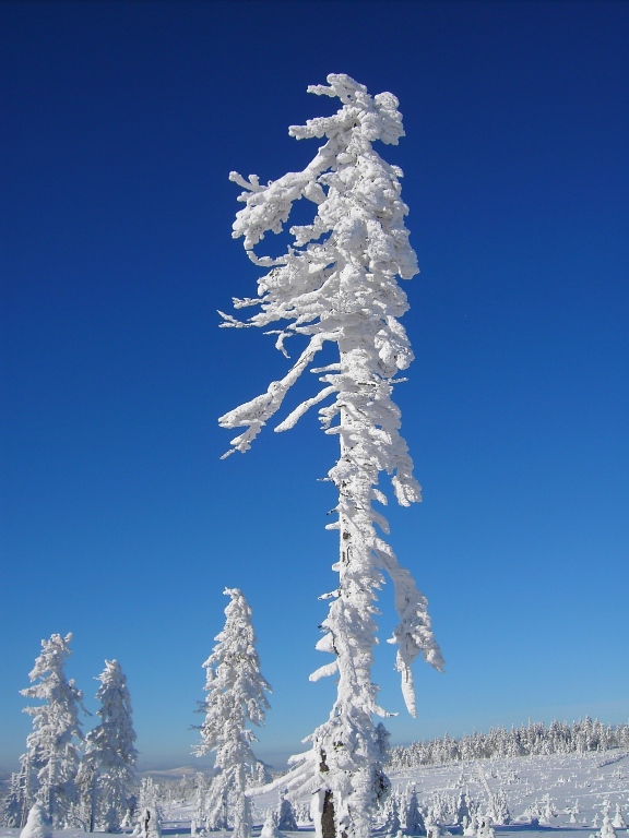 PICT0402.JPG