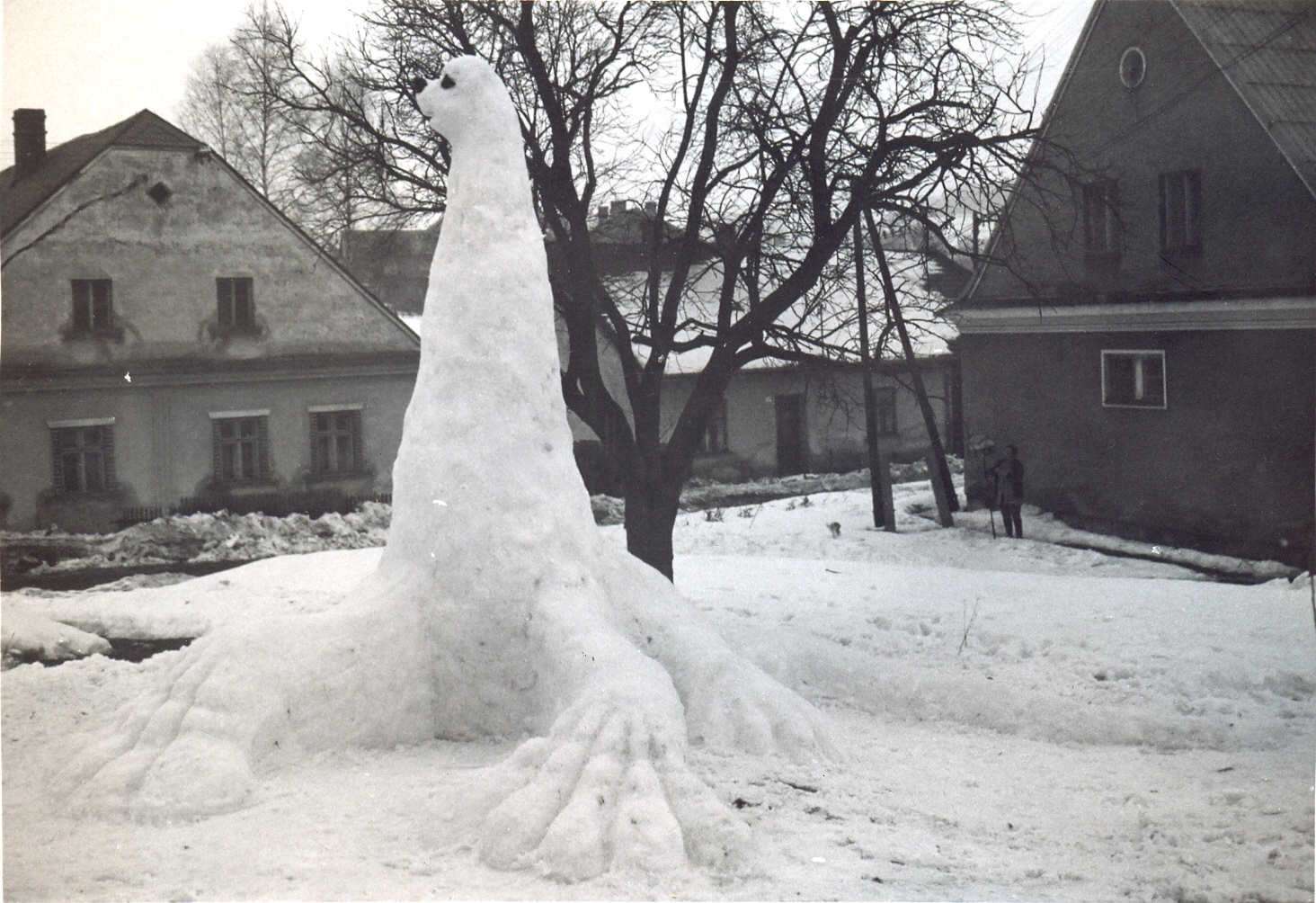 Silvestr 81 -9p